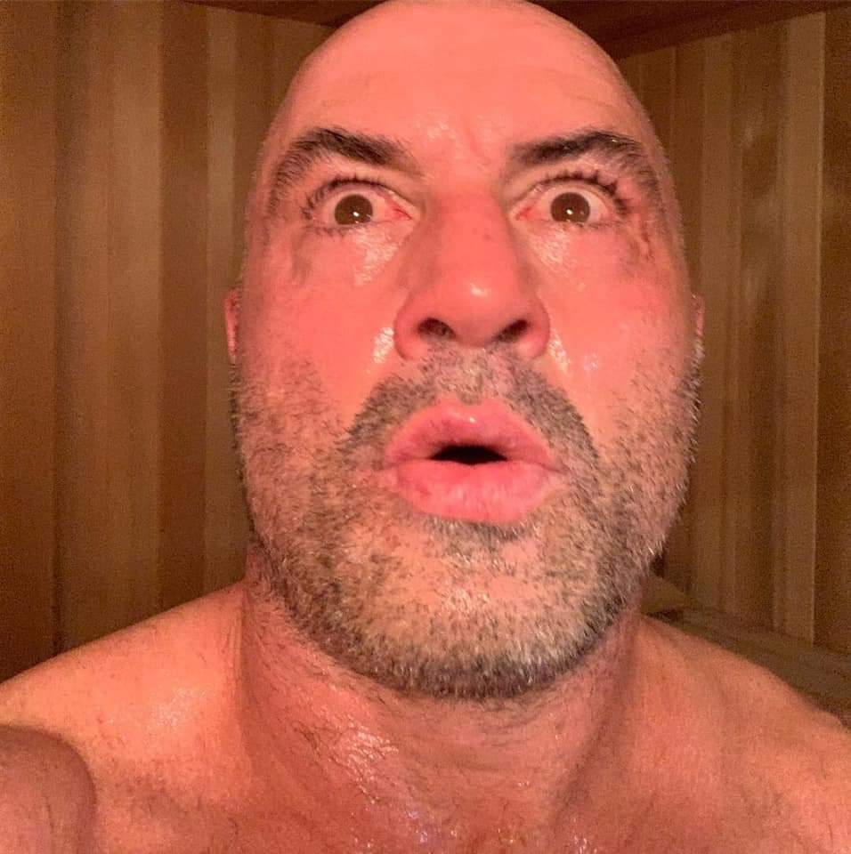 Template meme Joe Rogan Sauna