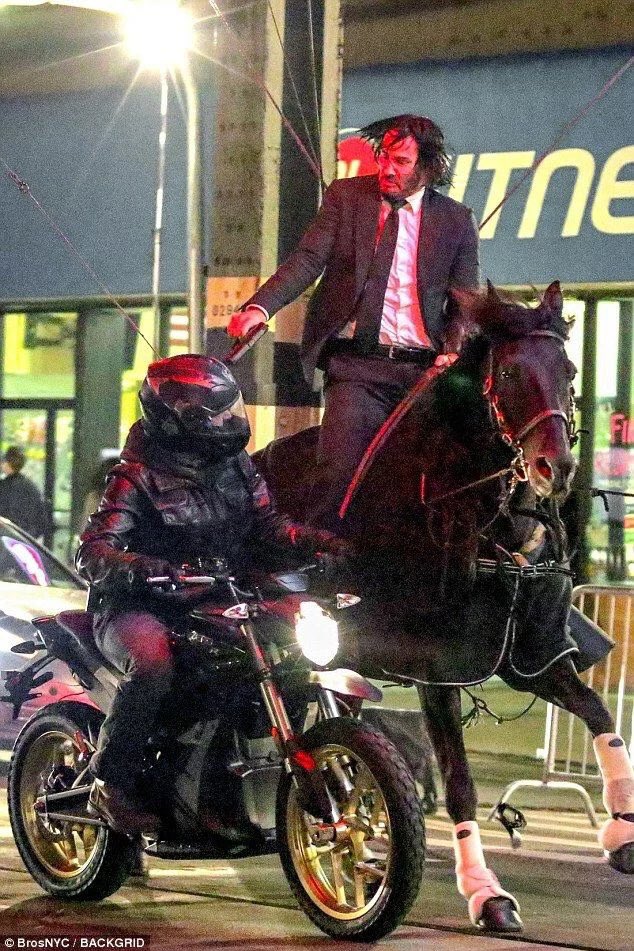 Template meme John Wick horse
