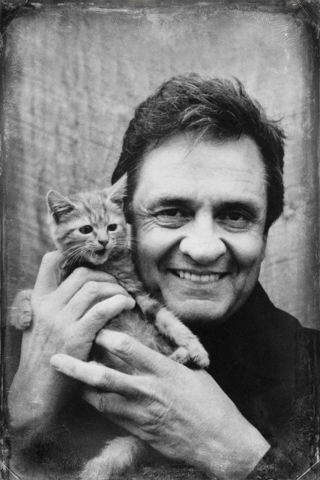 Template meme Johnny Cash Cat