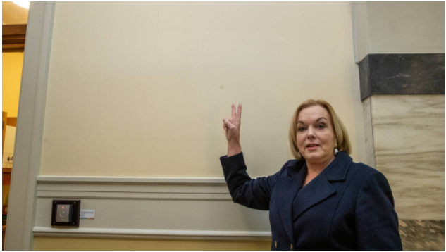 Plantilla de meme Judith Collins