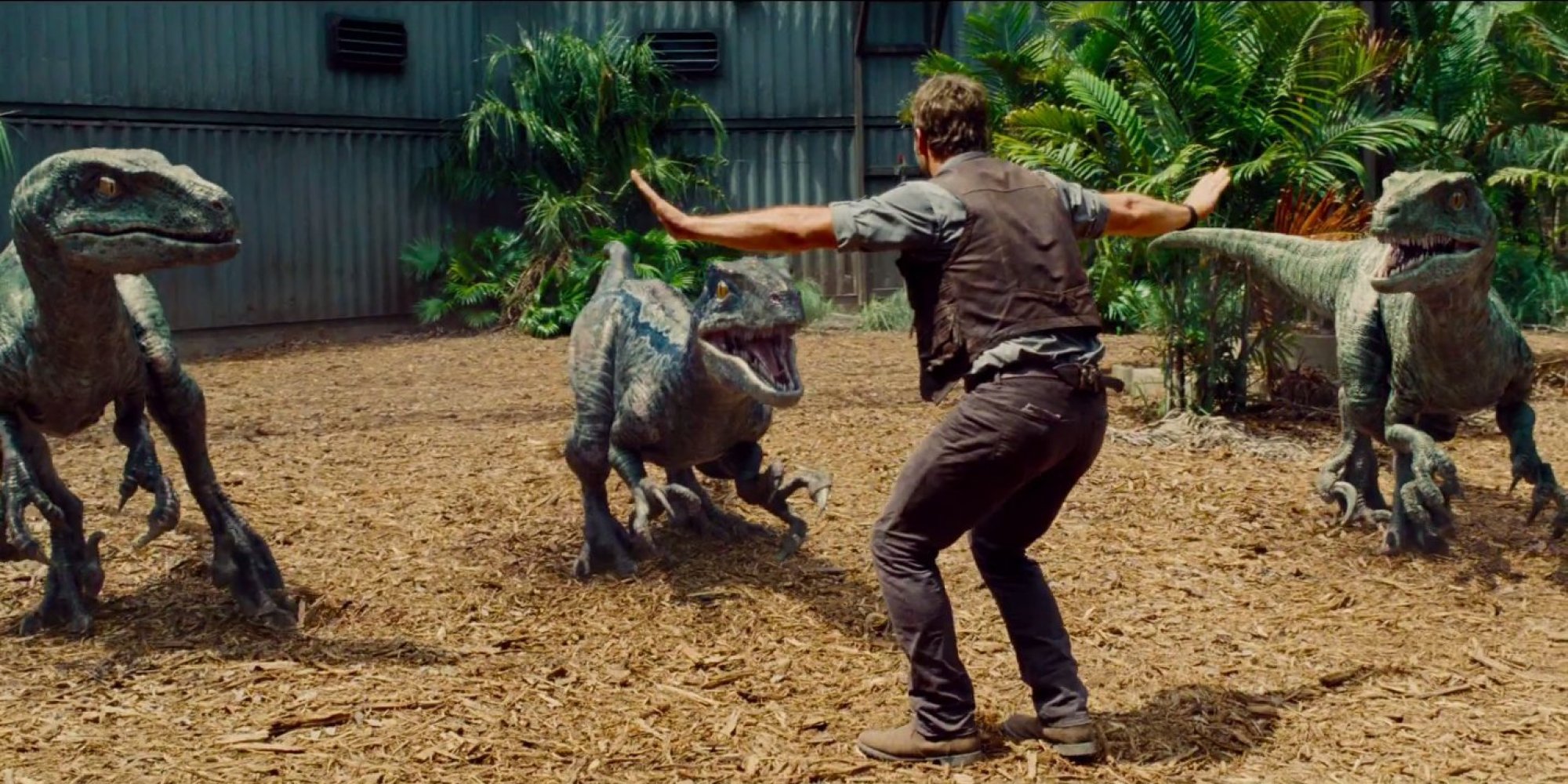Template meme Jurassic park raptor