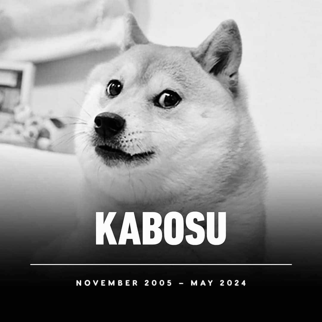 Plantilla de meme KABOSU RIP