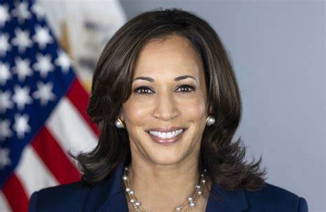Plantilla de meme Kamala Harris Hawk Tuah