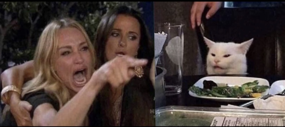 Template meme Karen Carpenter and Smudge Cat