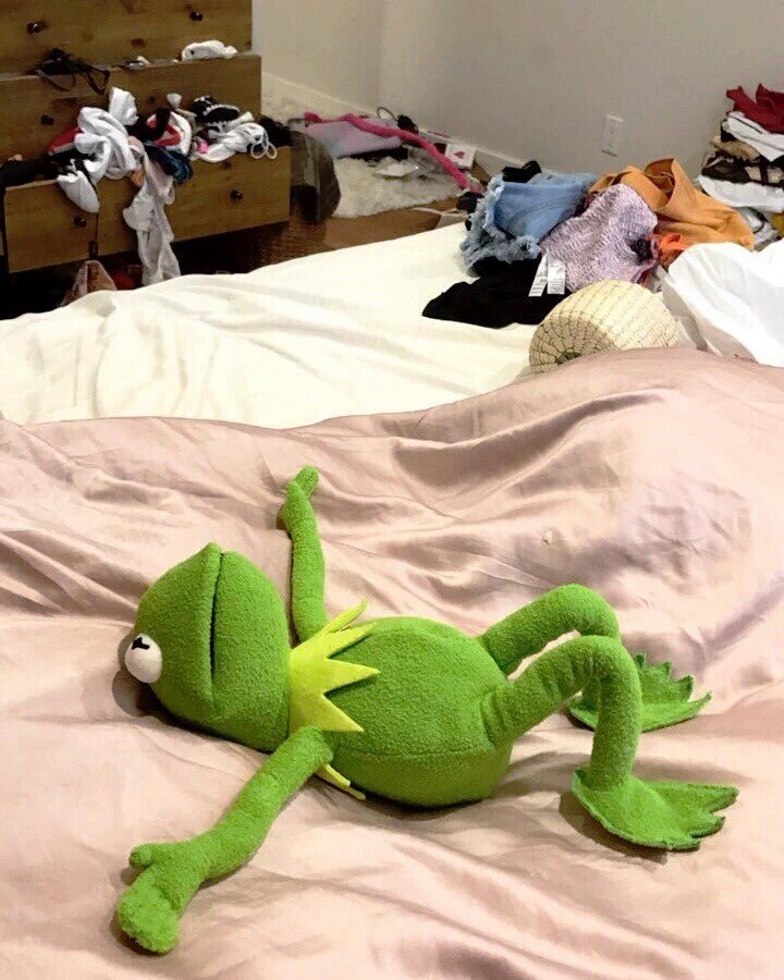 Plantilla de meme Kermit exhausted