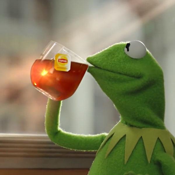 Plantilla de meme Kermit frog tea