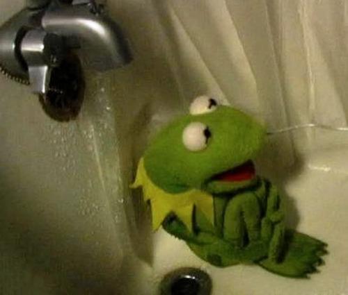 Plantilla de meme Kermit on Shower