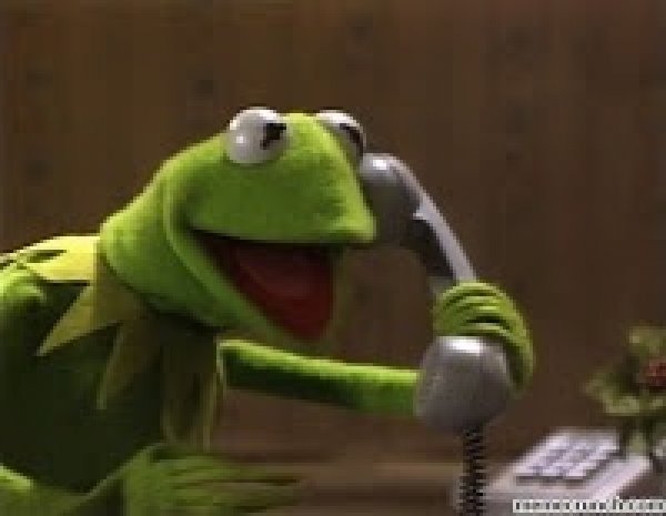 Plantilla de meme Kermit The Frog At Phone
