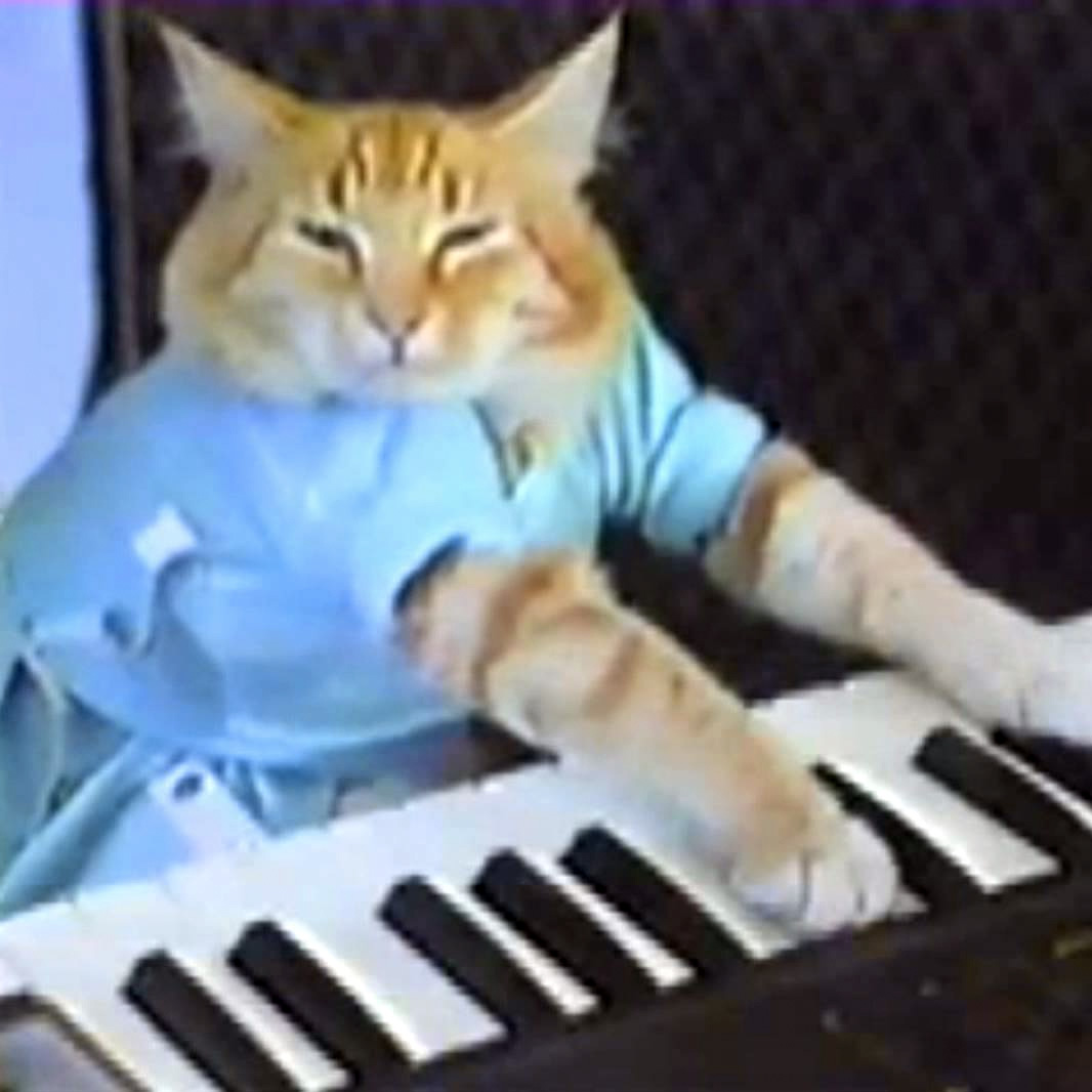 Plantilla de meme Keyboard cat
