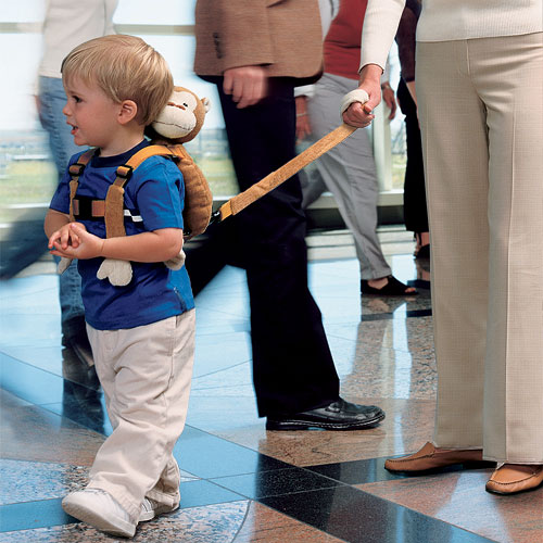 Kid on a leash meme template