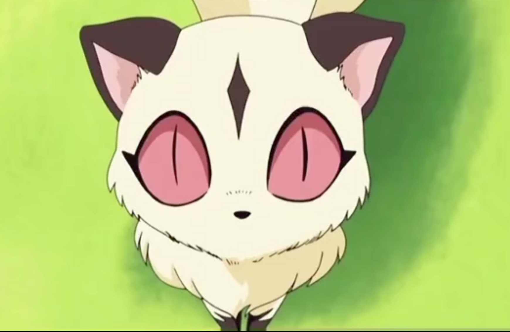 Plantilla de meme Kirara stare