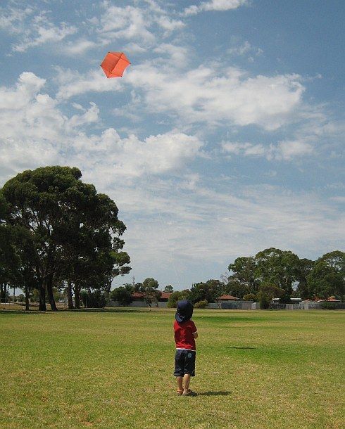 kite meme template