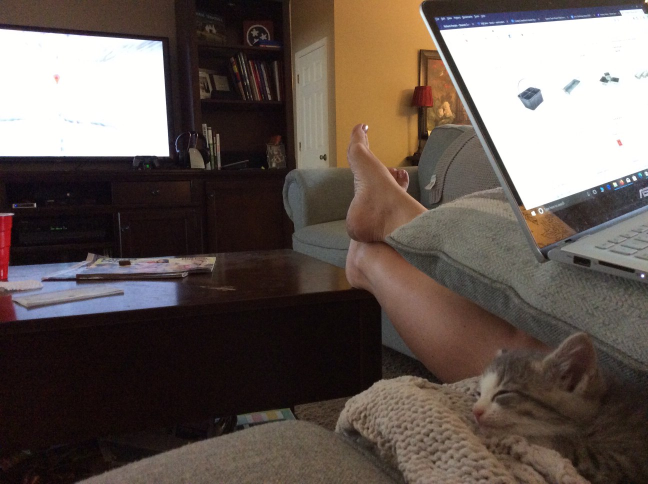 Template meme Kitten watching TV
