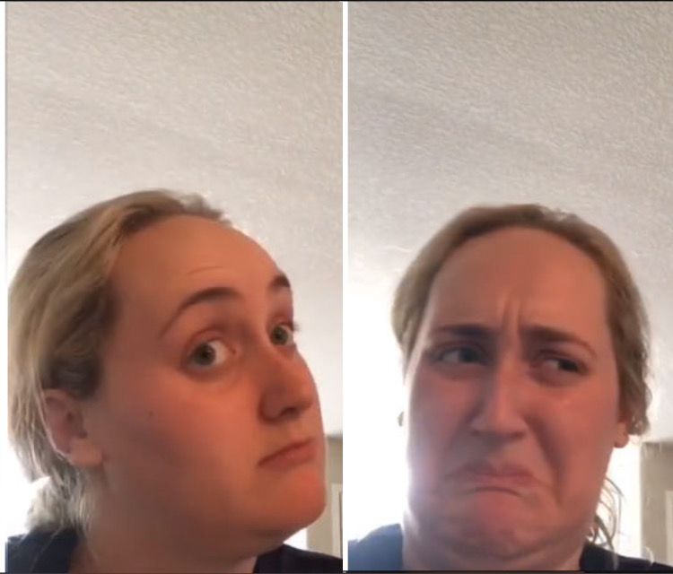 Kombucha girl reversed meme template