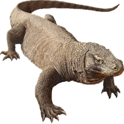 Plantilla de meme Komodo dragon
