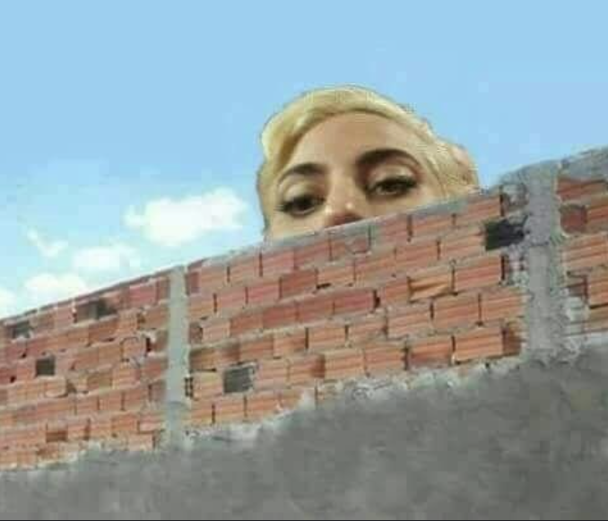 Plantilla de meme Lady Gaga behind a brick wall