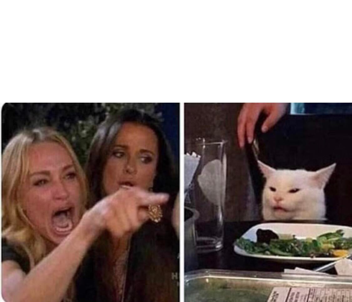 Template meme Lady screams at cat