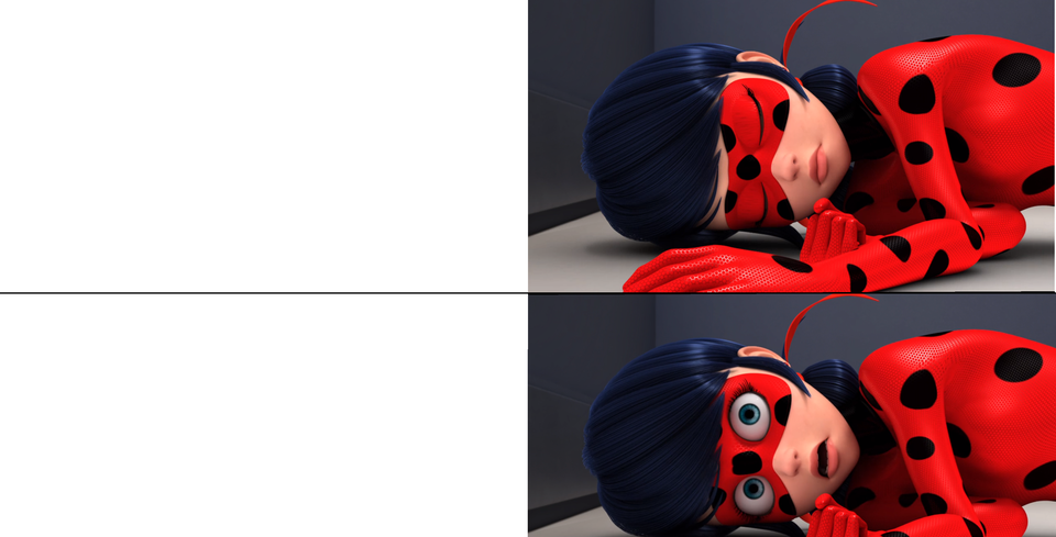 Plantilla de meme Ladybug Sleep/Woke