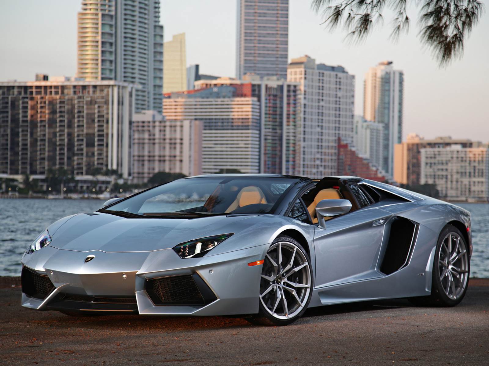 Plantilla de meme LAMBORGHINI MONEY MEME