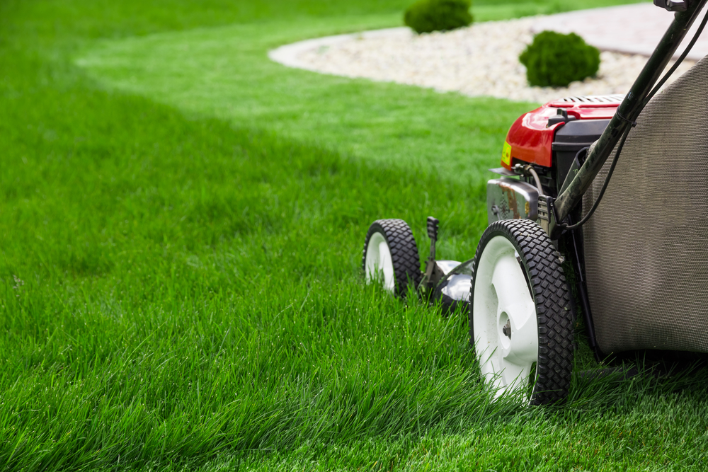 Lawn Mower meme template