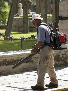 Plantilla de meme Leaf blower