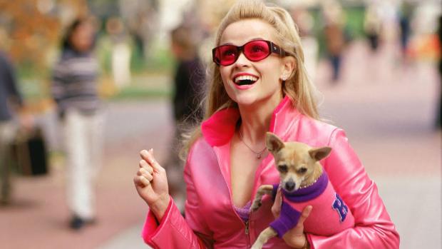 Plantilla de meme Legally blonde