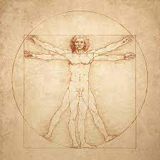 Plantilla de meme Leonardo Da Vinci Vitruvian Man