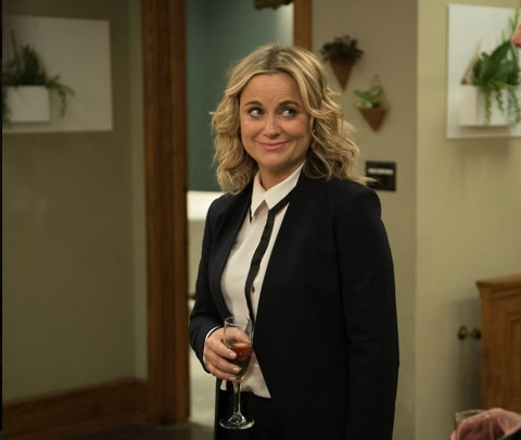 Template meme Leslie Knope Loves Anne Perkins