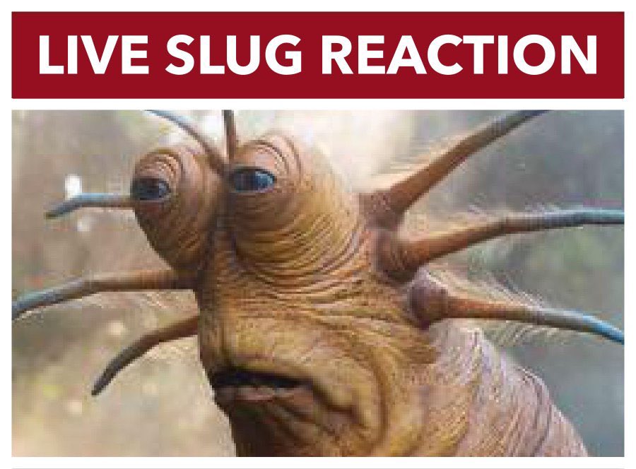 Plantilla de meme Live slug reaction