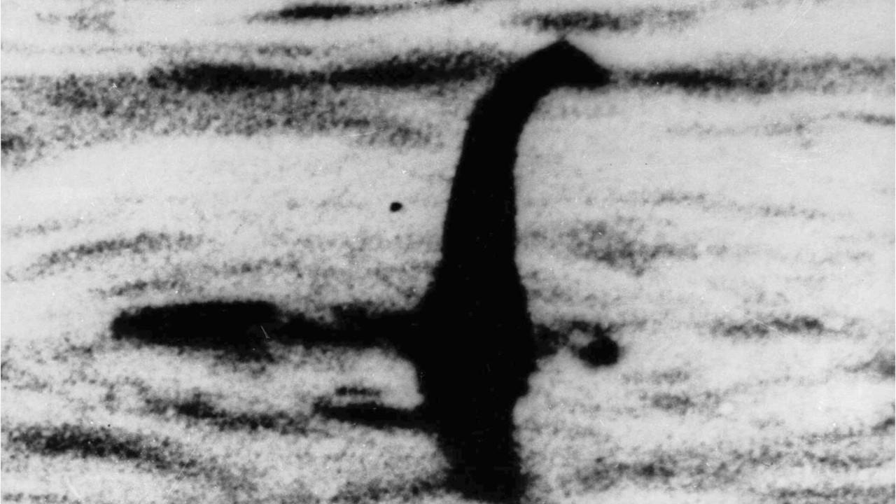 Plantilla de meme Loch Ness Monster Hold My Beer
