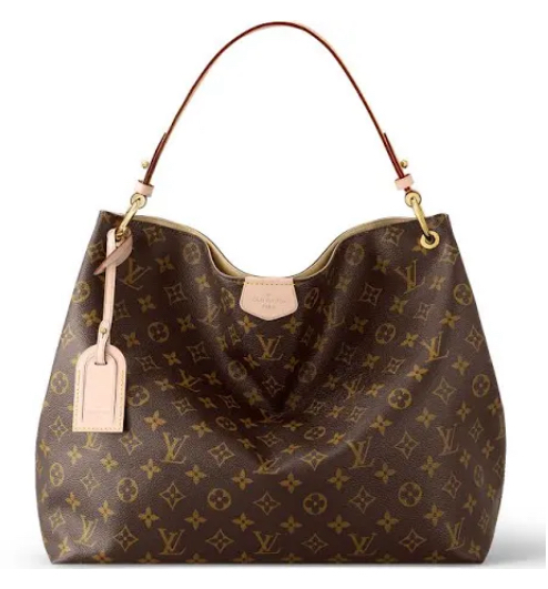 Plantilla de meme Louis Vuitton bag