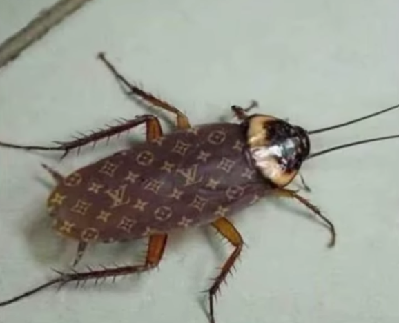 Template meme louis vuitton roach