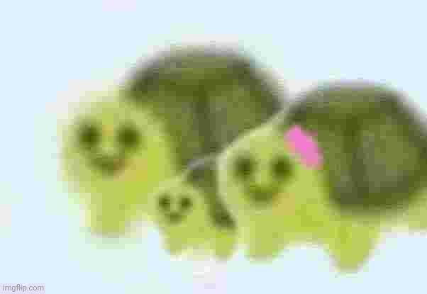 Plantilla de meme low quality turtle family