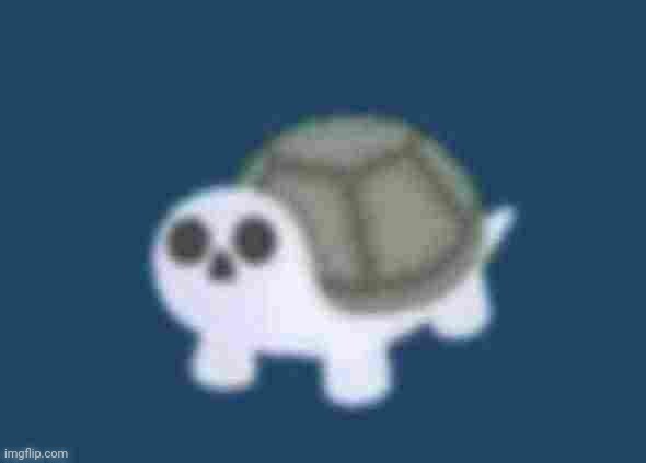 Plantilla de meme low quality turtle skeleton