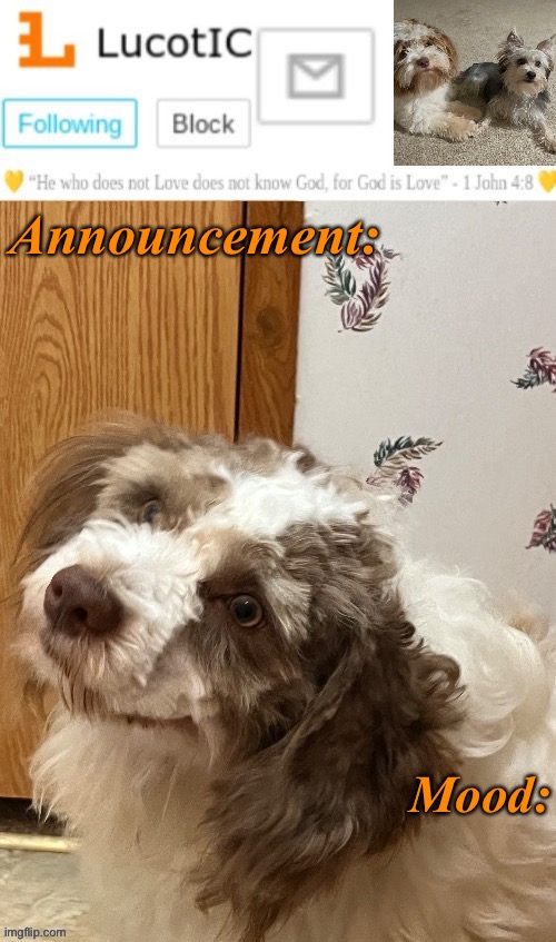 LucotIC’s “Fangz” announcement temp (thanks Strike) meme template