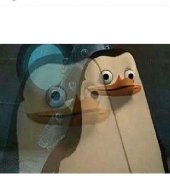 Template meme Madagascar Meme