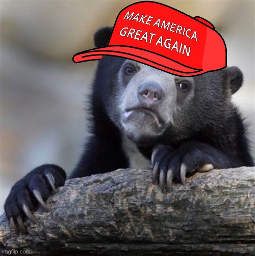 Template meme MAGA confession bear HD