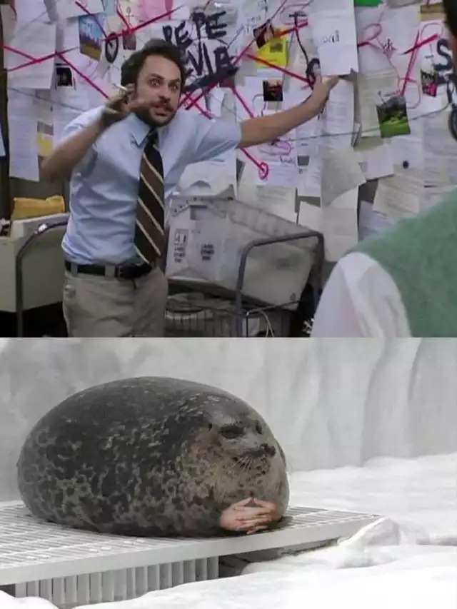 Template meme Man explaining to seal