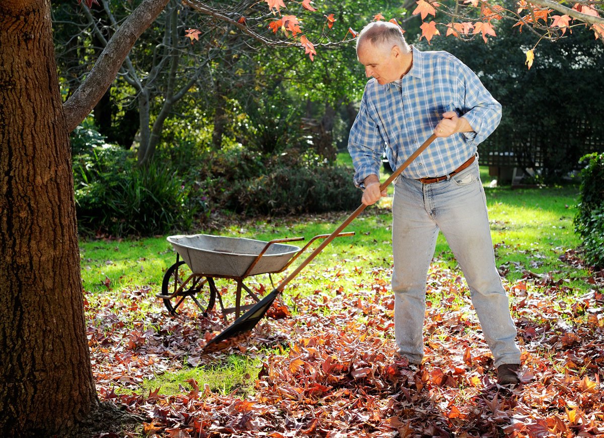 Plantilla de meme Man Raking