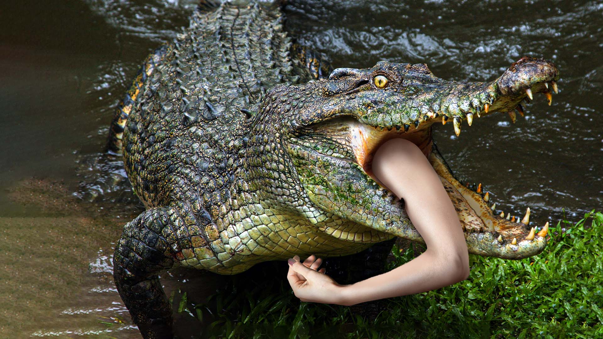 Plantilla de meme Maneater