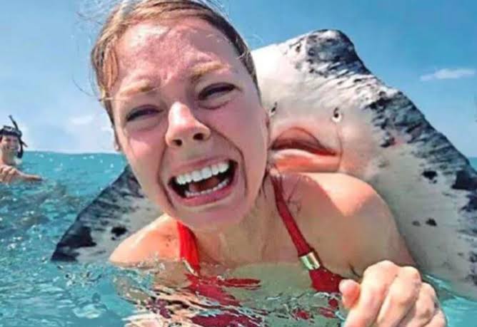 Manta behind woman meme template