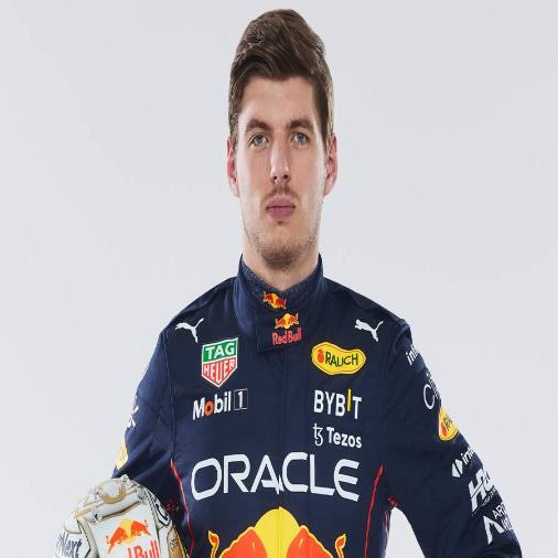 Plantilla de meme max verstappen