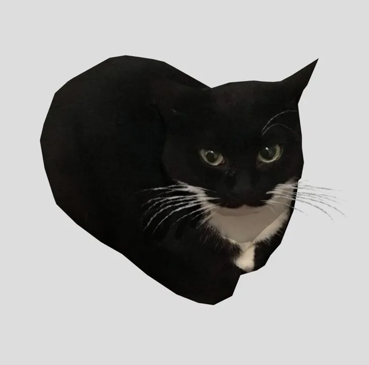 Plantilla de meme maxwell cat