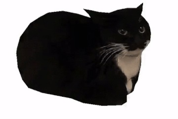 Plantilla de meme maxwell the cat