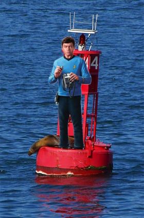 Plantilla de meme McCoy on a Buoy