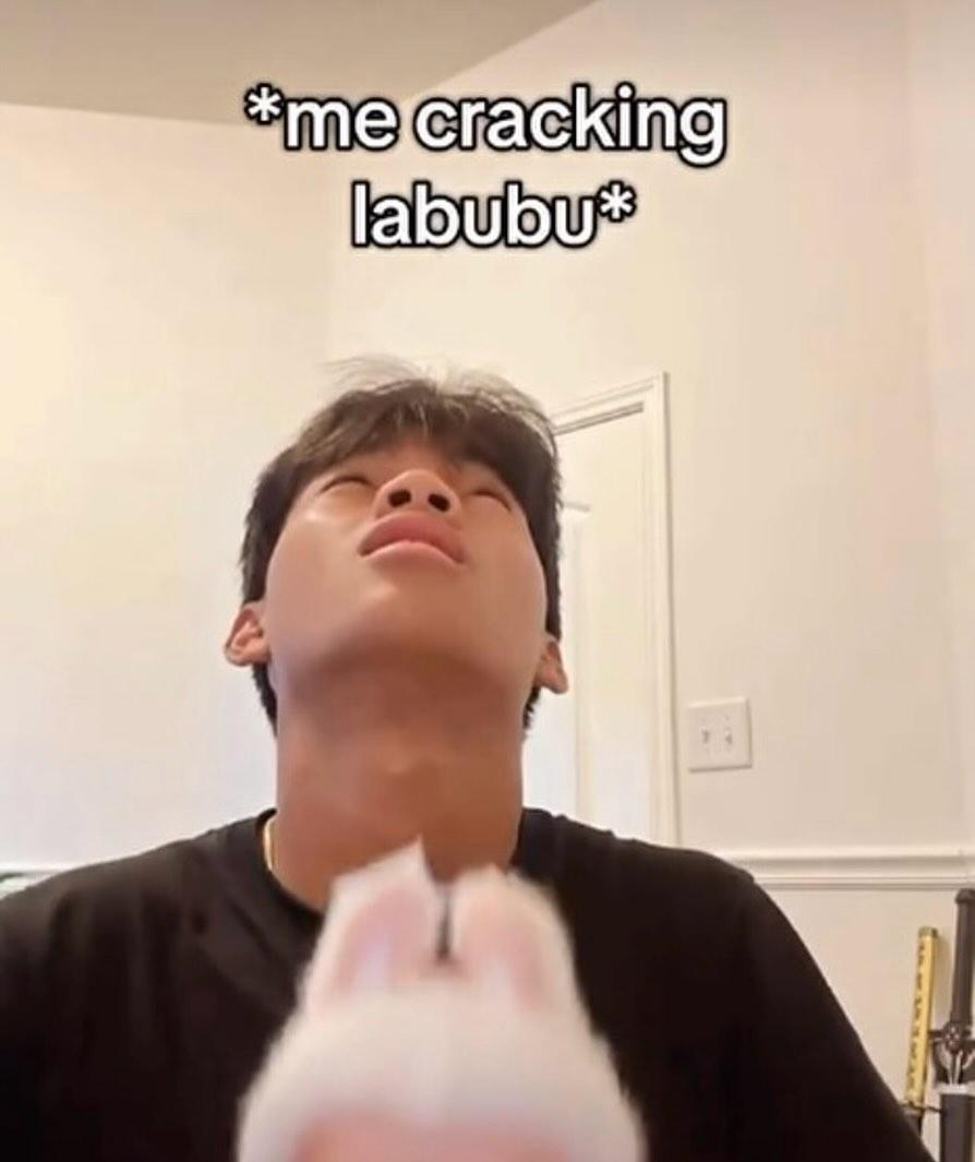 Template meme me cracking labubu