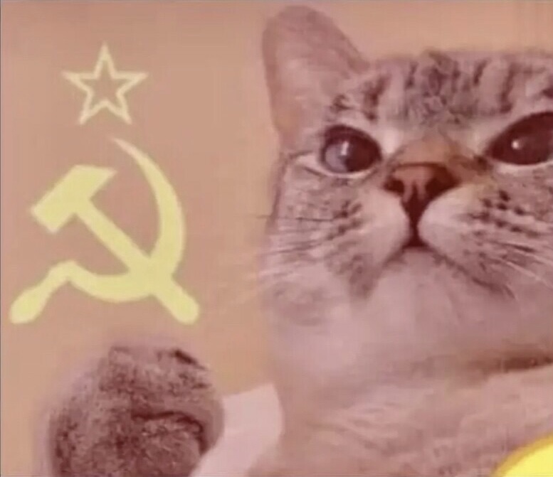 Plantilla de meme Meme kitty