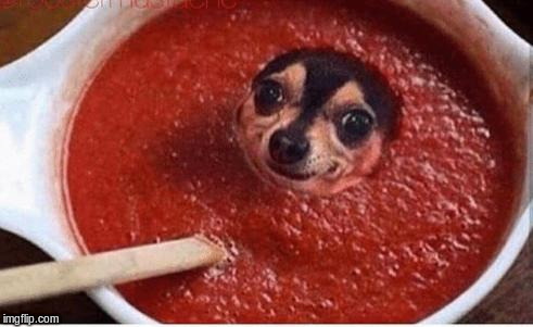 Plantilla de meme Memes, Hot Sauce, Dogs, Cooking