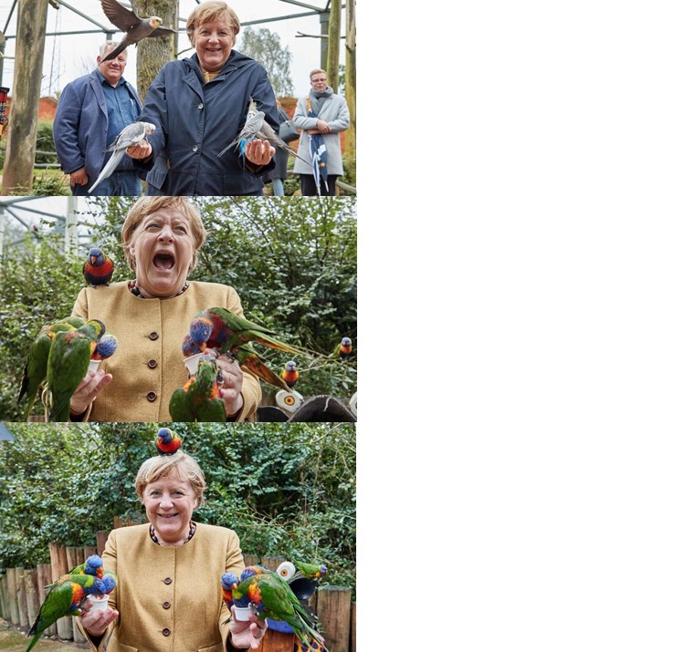Plantilla de meme Merkels Last Meme