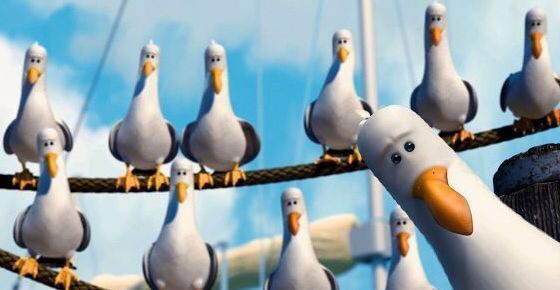 Plantilla de meme Mine seagulls